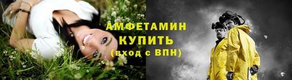 ГАЛЛЮЦИНОГЕННЫЕ ГРИБЫ Белокуриха
