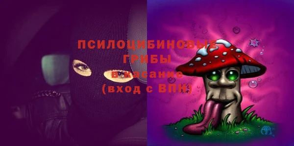 ешки Богородицк