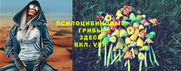 apvp Волосово